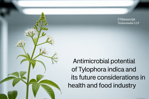 Antimicrobial Potential of Tylophora indica and its Future Considerations in Health and Food Industry