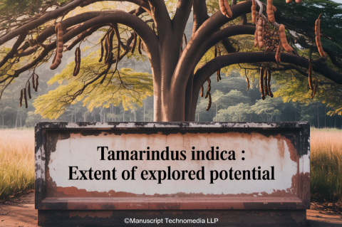 Tamarindus Indica : Extent of Explored Potential