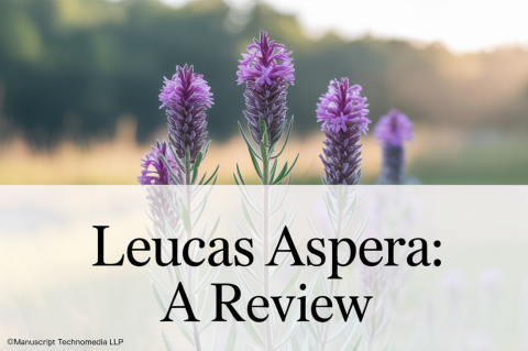 Leucas Aspera: A Review