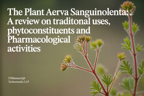The Plant Aerva sanguinolenta: A Review on Traditional uses, Phytoconstituents and Pharmacological Activities