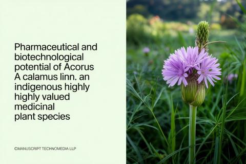 Pharmaceutical and Biotechnological Potential of Acorus Calamus Linn.: An Indigenous Highly Valued Medicinal Plant Species