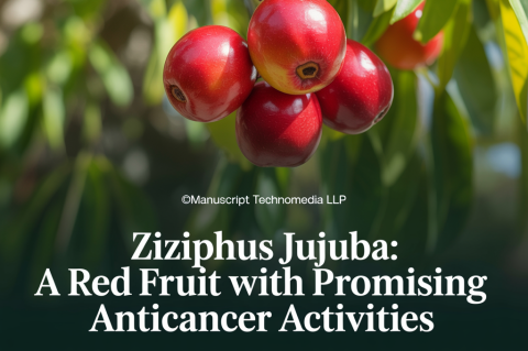 Ziziphus jujuba: A Red Fruit with Promising Anticancer Activities