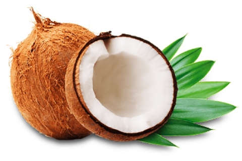 Main ingredient of Narikela khanda is Narikela Phala (Coconut).