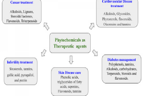 Diagram depicting various phytochemicals used in treatment of diseases.