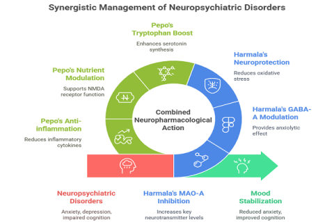 The combined neuropharmacological effects of Peganum harmala and Cucurbita pepo contribute to mood stabilization and enhanced cognitive function through mechanisms involving monoamine modulation, anti-inflammatory properties, antioxidant activity, and GABAergic pathways.