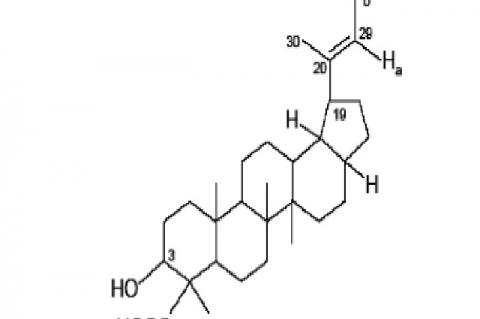 3a-hydroxy-lup-20(29)-en-24 oic acid