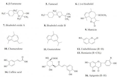 Secondary metabolites from M. chamomilla