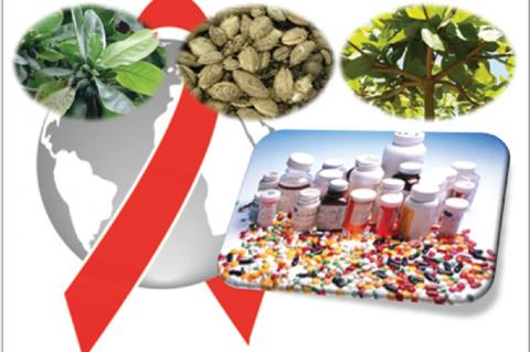 Herbal medicine versus synthetics drugs for antiretroviral therapy