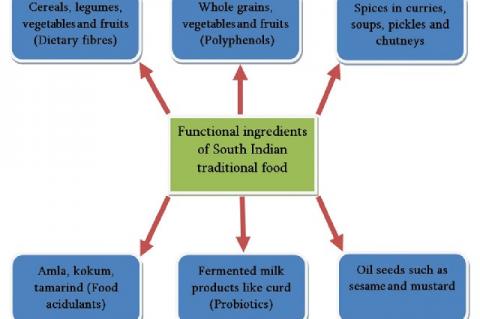 Functional ingredients of South Indian traditional food