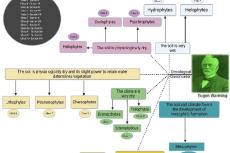 Overview of oecological/ecological classification.