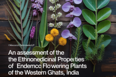 An Assessment of the Ethnomedicinal Properties of Endemic Flowering Plants of the Western Ghats, India