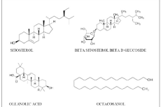 Chemical structures in aerial parts of Olax scandens Roxb.