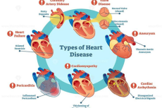 the various anomalies associated with the cardiovascular system.[